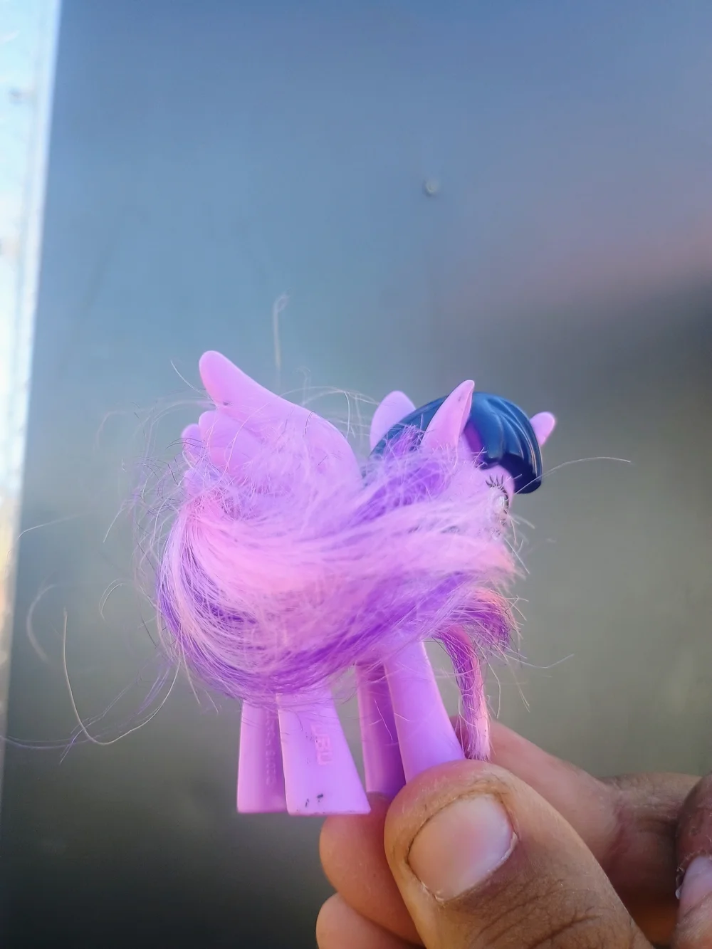 My Little Pony my little